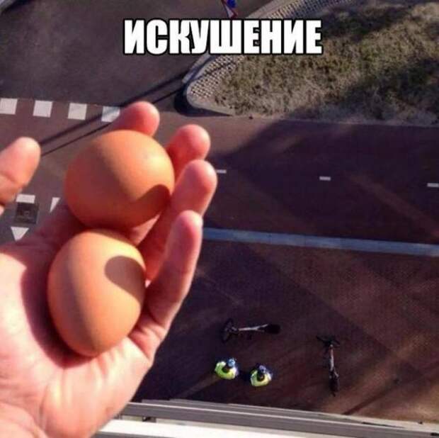 Картинки, юмор, приколы