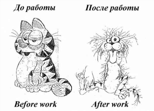 Смешные комментарии. Подборка chert-poberi-kom-chert-poberi-kom-31260329102020-7 картинка chert-poberi-kom-31260329102020-7