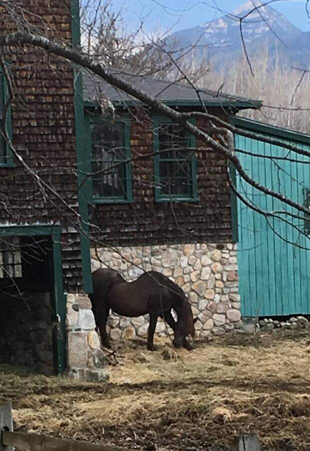 WTF: Что тут происходит?