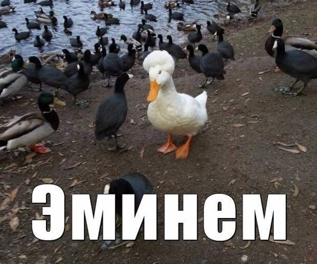 Позитивный пост+70 Позитивный пост+70
