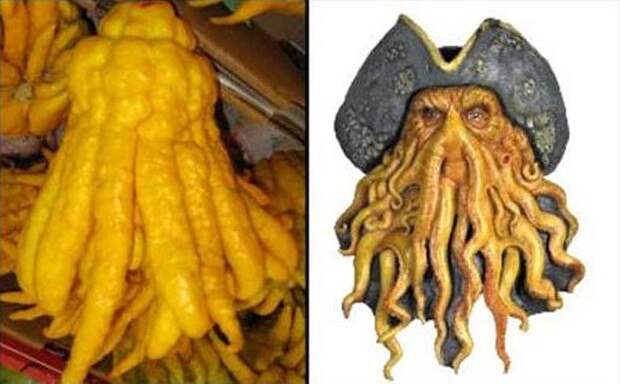 creepyplants28 Самые жуткие растения