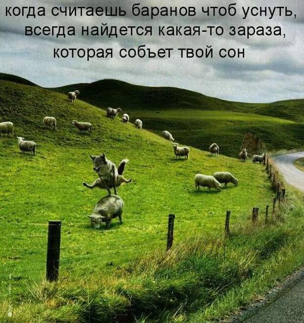 Мысли вслух :)