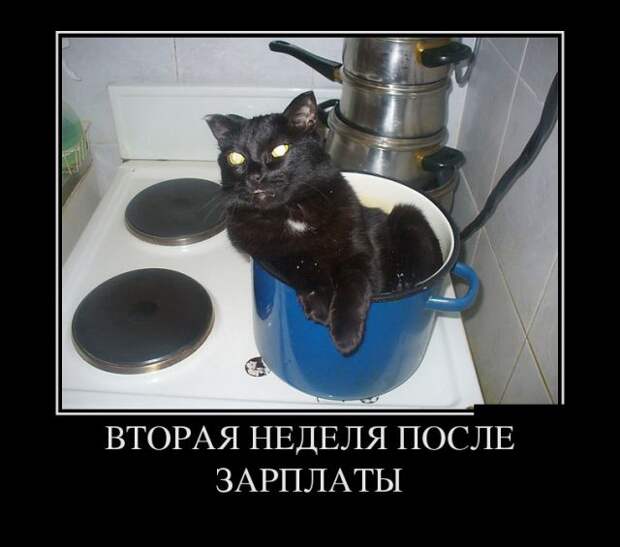 Демотиваторы (30 фото)