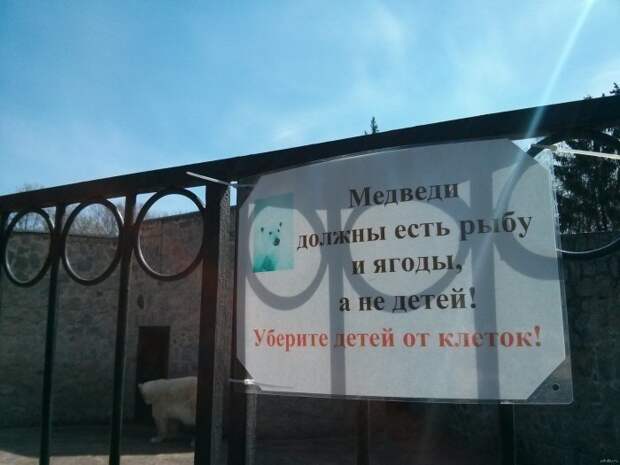 Добро пожаловать в зоопарк! Добро пожаловать в зоопарк!