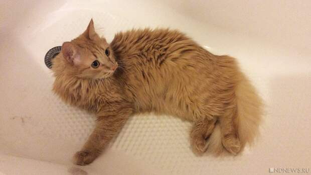 В двух районах Челябинска из крана может хлынуть зеленая вода