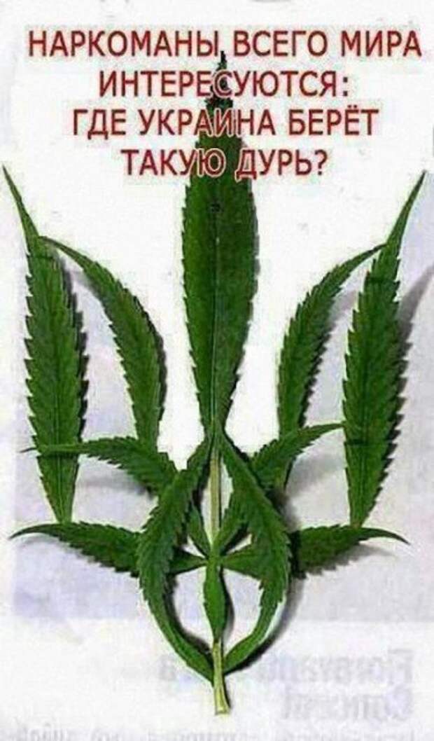Александр Русин: Жидкий стул фашизма (Украина)