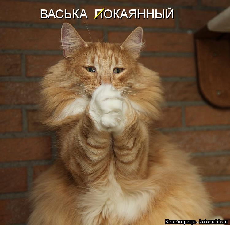 Котоматрица: ВАСЬКА  ПОКАЯННЫЙ __