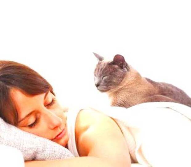 Мама распустила кота. Но любому терпению когда-нибудь приходит конец...