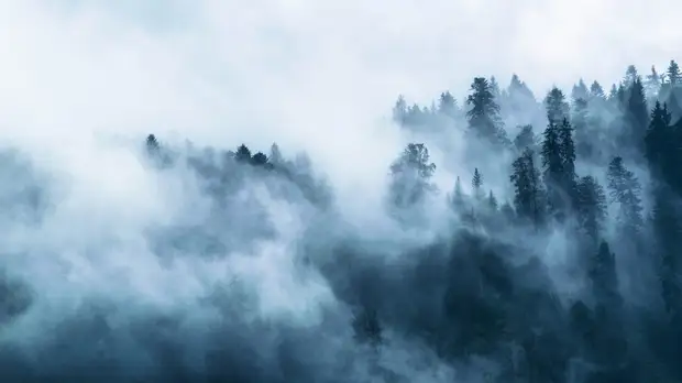 В Оренбургской области синоптики прогнозируют туман