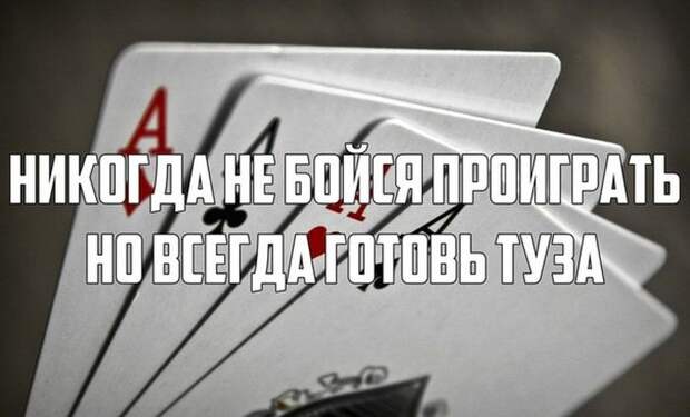 Веселые картинки 05.12.2014 (29 фото)