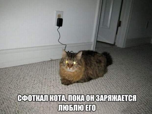 Смешные и прикольные фотомемы (23 шт)