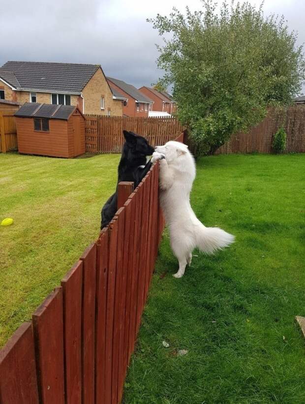 Фотоподборка