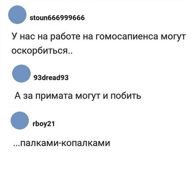 Комментаторы из соцсетей отжигают! Комментаторы из соцсетей отжигают!