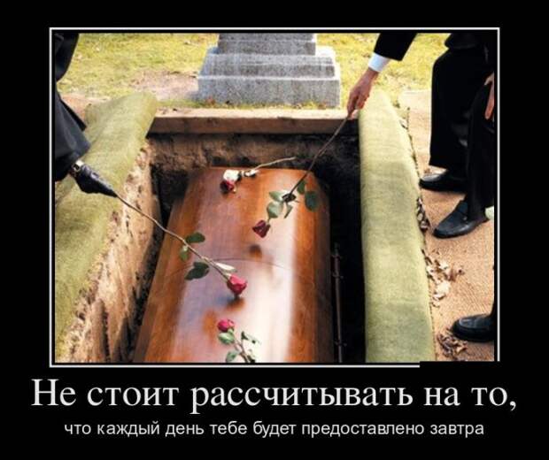 Демотиваторы (30 фото)