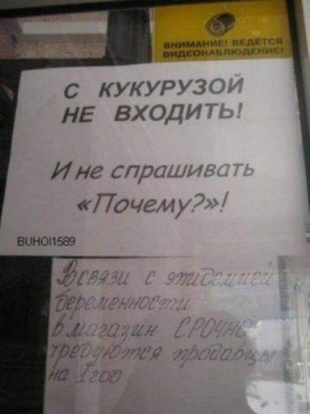 смешные надписи прикольные объявления маразмы 