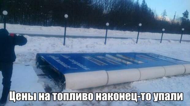 Картинки, юмор, приколы