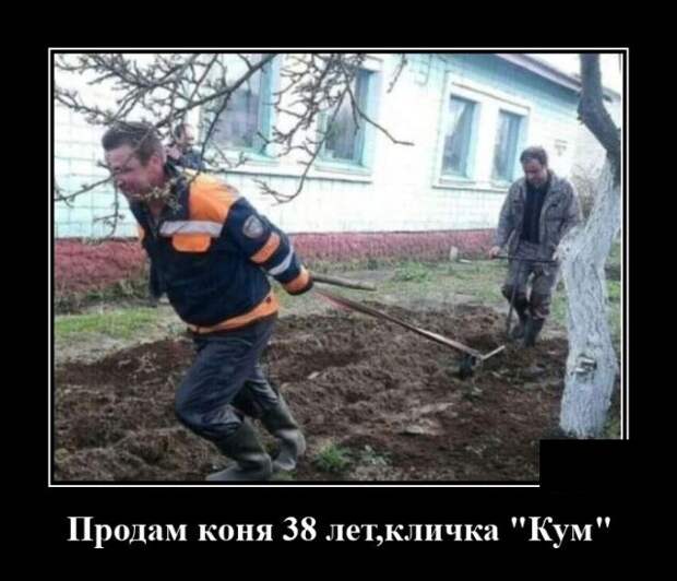 demotivatory-demotivator-smeshnye-demotivatory-demotivator-so-smyslom