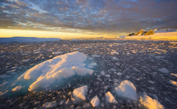 Тайны, скрытые под льдами Антарктиды