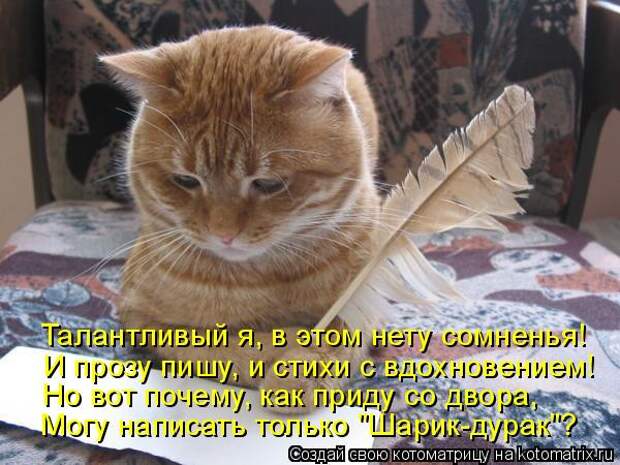 Мысли вслух :)