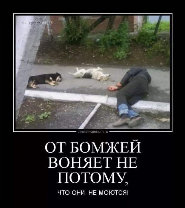 Прикольные демотиваторы с надписями. Подборка chert-poberi-dem-chert-poberi-dem-59360623082020-12 картинка chert-poberi-dem-59360623082020-12