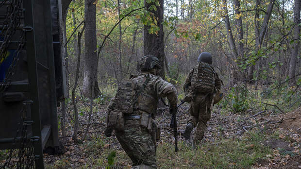Филиппо призвал прекратить финансирование Украины после кадров мобилизации