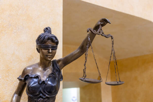 Туляк оштрафован на 200 тысяч рублей за два спиленных дуба: на мужчину пожаловался сосед