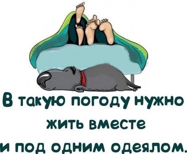 В такую погоду нужно жить вместе) Pd4kUr2zFL8.jpg