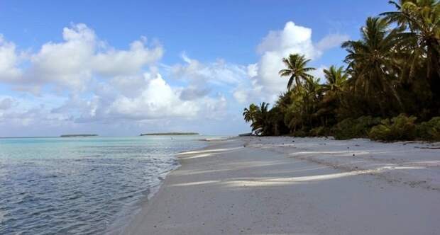 Palmerston island 99