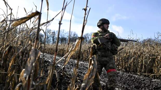 ВС России освободили населённый пункт Сопычь в Сумской области