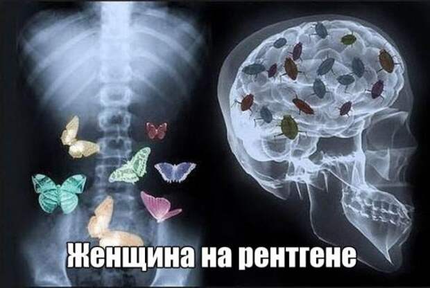 Картинки, юмор, приколы