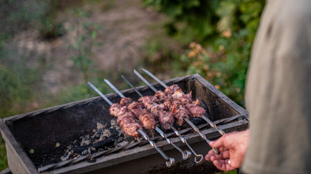 Запретный вкус шашлыка: как не получить штраф за жарку мяса в городе