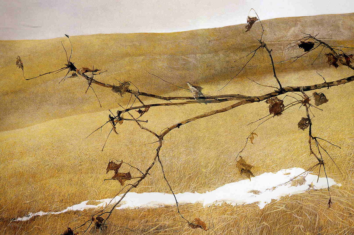 О, ОДИНОЧЕСТВО... ХУДОЖНИК ANDREW NEWELL WYETH / ЭНДРЮ НЬЮЭЛЛ УАЙЕТ (США, 1917-2009)