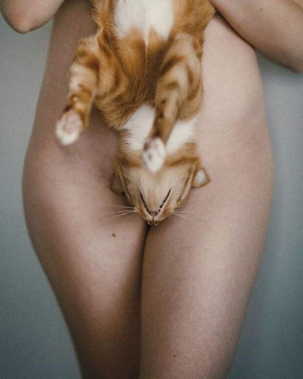 Всякая прикольная всячина, фото и картинки 46