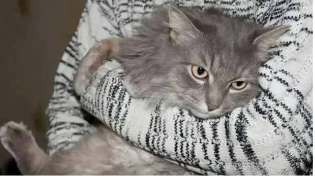 Другие Люди