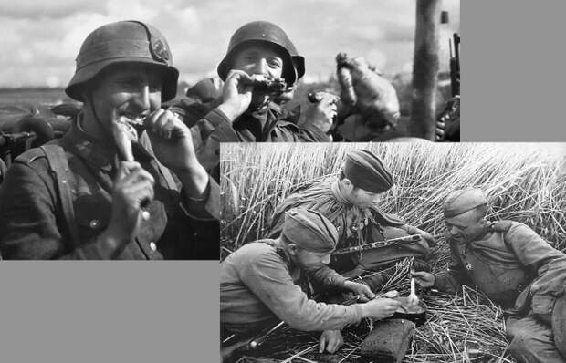 Почему советские пайки делились на 12 категорий, а у немцев был один стандарт