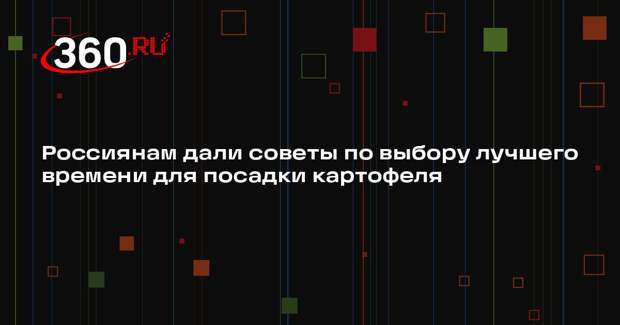 Россиянам дали советы по выбору лучшего времени для посадки картофеля