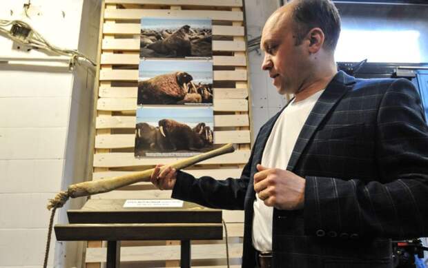 В Санкт-Петербурге открылась выставка «Интимные тайны животных»  выставка, животные