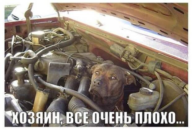 АВТОприкольные картинки для всех и для каждого (19 шт)