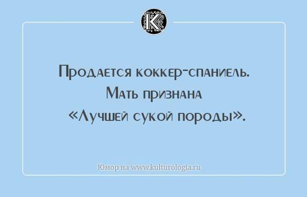 20 забавных объявлений, которые больше похожи на анекдоты