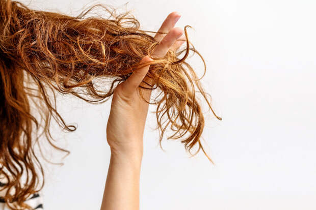 PNAS: клетки корней волос отражают индивидуальные биоритмы человека