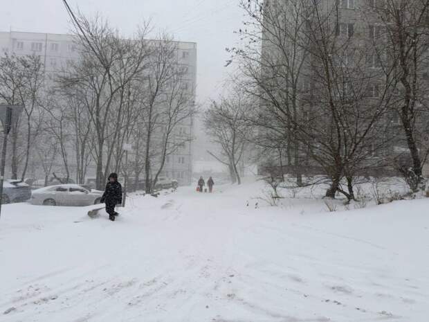 Сильный снегопад остановил общественный транспорт и обесточил сотни жителей Владивостока