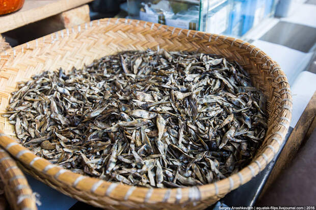 Санстанции здесь нет