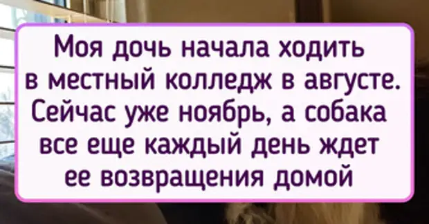 15 трогательных историй и фото, которые умилят и растрогают даже самых серьезных дядек