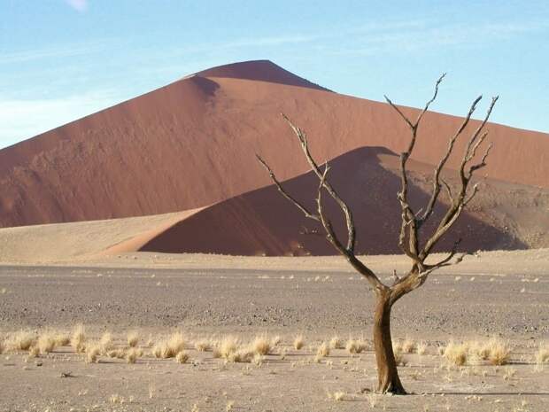 Национальный парк Берег скелетов в Намибии (Skeleton Coast Park)