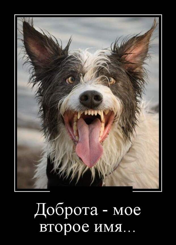 Демотиваторы (30 фото)