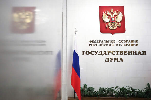 В ГД внесли проект об индексации выплат многодетным семьям