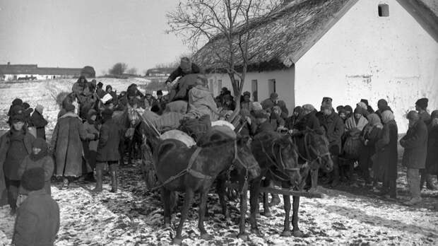 Кулаков выселяют из деревни. Репродукция с фотографии 1929 года. Фото: © РИА Новости/Макс Альперт