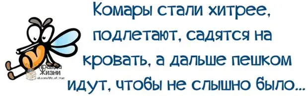 Мало не бывает. Комары стали хитрее. Смешные фразы для поднятия настроения пятница. Прикольные фразы для поднятия настроения про пятницу. Смешные цитаты про еду для поднятия настроения.