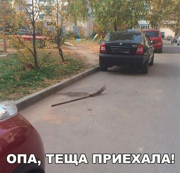 Смешные картинки (20 фото)