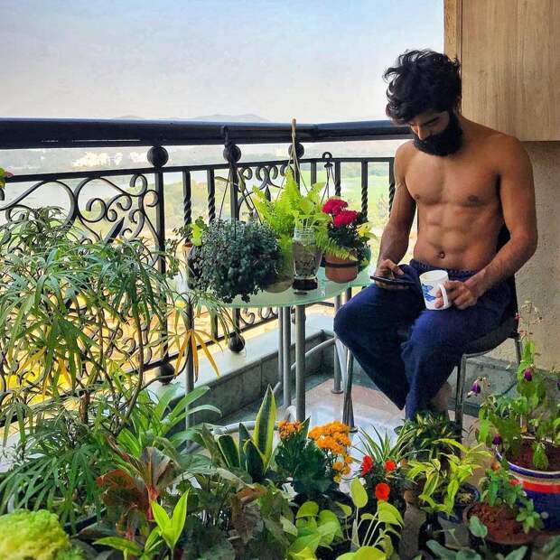 Популярный Instagram-аккаунт с полуголыми мужчинами и растениями
